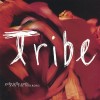 Tribe by Gabrielle Roth And The Mirrors